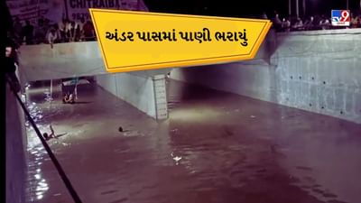 Rain News : ઊંઝાના અંડરપાસમાં ભરાયા વરસાદી પાણી, પિકઅપ ડાલું ફસાઈ ગઇ, જુઓ Video Rain News : ઊંઝાના અંડરપાસમાં ભરાયા વરસાદી પાણી, પિકઅપ ડાલું ફસાઈ ગઇ, જુઓ Video