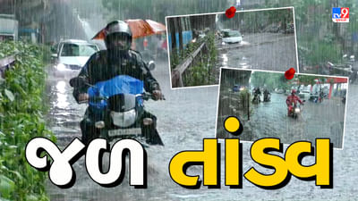 Rain News : કચ્છમાં જળબંબાકારની સ્થિતિ,  મેકણ સરોવરના પ્રવાહમાં 10 થી વધુ ગાય તણાઈ, જુઓ Video