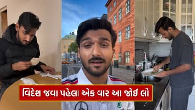 Reality of Abroad Life.. વિદેશમાં રહેવા અને કામ કરવાની કડવી વાસ્તવિકતાનો ભાંડો ફૂટ્યો, વાયરલ વીડિયોમાં ખૂલ્યા રાઝ, જુઓ