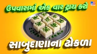 Sabudana Dhokla : શ્રાવણ મહિનામાં ઘરે બનાવો સાબુદાણાના ઢોકળા, એક વાર ખાશો તો વારંવાર યાદ કરશો