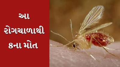 Breaking News : ગુજરાતમાં પ્રસર્યો આ રોગચાળો, 8ના મોત, 7 સારવાર હેઠળ , જુઓ Video