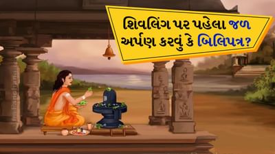 11 જુલાઈ 2025 થી શ્રાવણ મહિનો શરૂ થવા જઈ રહ્યો છે. શ્રાવણ મહિનામાં શિવલિંગ પર જળાભિષેક અને રુદ્રાભિષેક કરવાનું મહત્વ ઘણું વધી જાય છે. આ ઉપરાંત શિવલિંગ પર ભગવાનને પ્રિય વસ્તુઓ ચઢાવવાથી પણ શુભ ફળ મળે છે.

