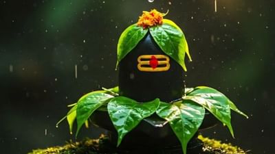 એવું કહેવાય છે કે, સોમવારના દિવસે સાચા મનથી ભગવાન શિવની પૂજા કરવામાં આવે તો બધી ઇચ્છાઓ પૂર્ણ થાય છે. ખાસ વાત તો એ કે, અપરિણીત છોકરીઓ આ દિવસે ઉપવાસ રાખે છે અને શિવલિંગ પર જળ ચઢાવે છે.  જળ અર્પણ કરતી વખતે છોકરીઓ સારો જીવનસાથી મેળવવાની ઇચ્છા રાખે છે. 