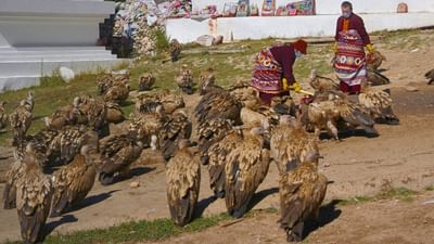 દરેક ધર્મમાં અંતિમ સંસ્કારની અલગ અલગ પરંપરાઓ હોય છે. કેટલાક મૃતદેહને અગ્નિસંસ્કાર આપે છે, કેટલાક તેને દફનાવે છે. તિબેટીયન બૌદ્ધ ધર્મમાં અંતિમ સંસ્કારની પદ્ધતિ અલગ છે, જેને આકાશ દફનવિધિ કહેવામાં આવે છે. ચાલો તેના વિશે જાણીએ.