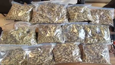 થાઈલેન્ડમાંથી હાઇબ્રિડ ગાંજાની દાણચોરી, ગુજરાત બીજા નંબરે, કેન્દ્ર સરકારે ઉઠાવ્યો મુદ્દો