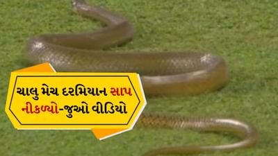 સાપ… સાપ… સાપ…! લાઈવ મેચમાં થઈ ભાગદોડ, ડરના કારણે શ્રીલંકા-બાંગ્લાદેશ પ્રથમ વનડે રોકવી પડી, જુઓ Video