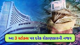 આ 3 કંપની ડિવિડન્ડ આપી શકે છે, આવતા અઠવાડિયે સ્ટોક્સમાં રહેશે 'હલચલ' આ 3 કંપની ડિવિડન્ડ આપી શકે છે, આવતા અઠવાડિયે સ્ટોક્સમાં રહેશે 'હલચલ'