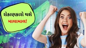 1 શેર પર 1 ફ્રી અને સાથે ડિવિડન્ડ પણ! તમારી પાસે આ શેર છે કે નહી? 1 શેર પર 1 ફ્રી અને સાથે ડિવિડન્ડ પણ! તમારી પાસે આ શેર છે કે નહી?