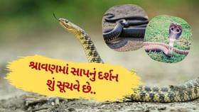 શ્રાવણ માસમાં સપનામાં સાપ દેખાય તો શું થાય ? જાણો ચોંકાવનારી વાત શ્રાવણ માસમાં સપનામાં સાપ દેખાય તો શું થાય ? જાણો ચોંકાવનારી વાત