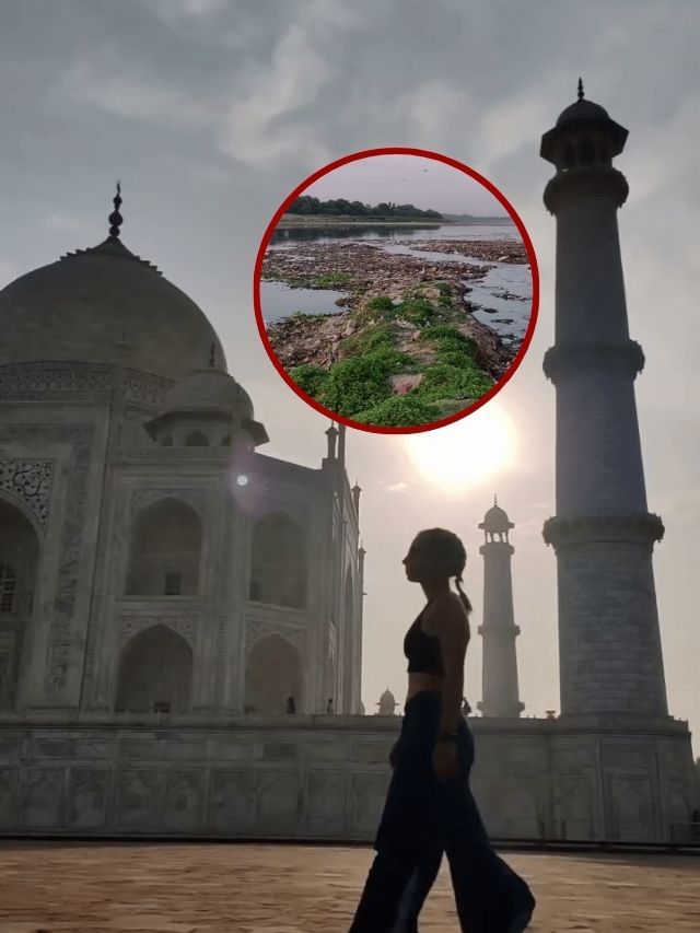 Video : વિદેશી મહિલાએ તાજમહેલની વાસ્તવિકતા બતાવી, કેમેરામાં કેદ થયેલું આઘાતજનક દ્રશ્ય Video : વિદેશી મહિલાએ તાજમહેલની વાસ્તવિકતા બતાવી, કેમેરામાં કેદ થયેલું આઘાતજનક દ્રશ્ય