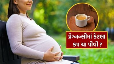 ગર્ભાવસ્થા દરમિયાન ઘણી બાબતોનું ધ્યાન રાખવું જરૂરી છે, ખાસ કરીને આ સમયે જીવનશૈલી અને ખોરાકમાં ફેરફાર કરવા જોઈએ. જેથી માતા અને બાળક બંને સુરક્ષિત રહે.