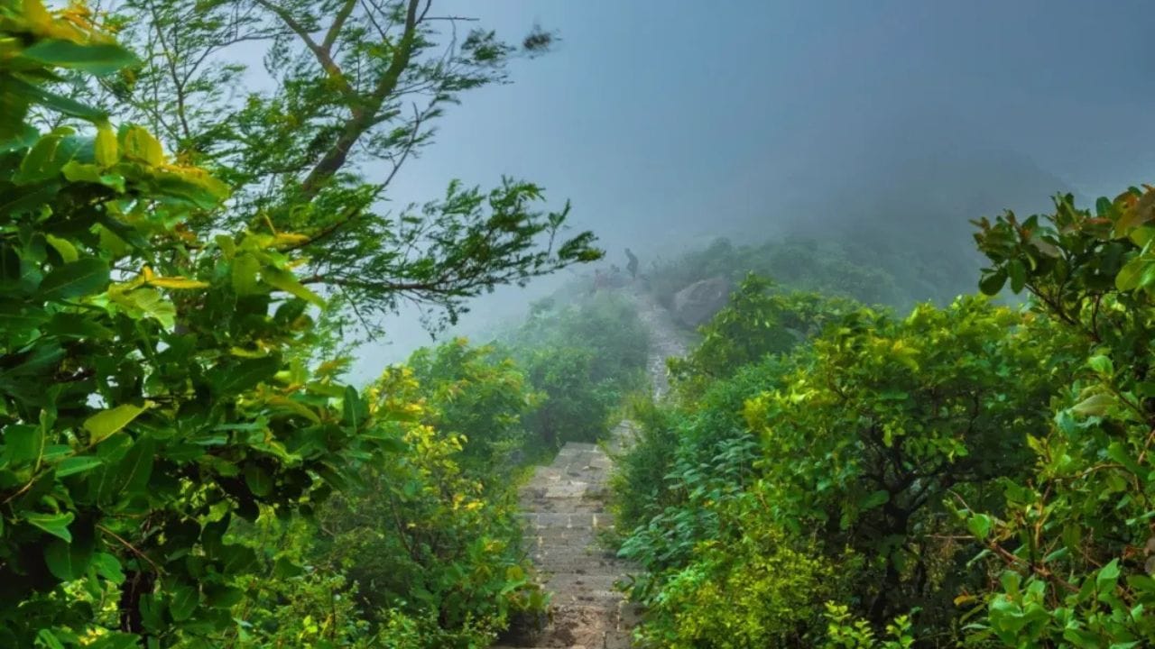  જો તમે પણ તમારા ફ્રેન્ડ સાથે શનિ-રવિની રજામાં ક્યાંય ફરવાનો પ્લાન બનાવી રહ્યા છો. તો આ 2 દિવસની રજામાં ગિરનાર ચોમાસાની સિઝનમાં તમારા માટે યાદગાર અને ફરવા લાયક સ્થળમાંથી એક હશે.