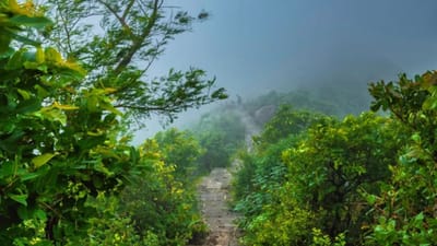  જો તમે પણ તમારા ફ્રેન્ડ સાથે શનિ-રવિની રજામાં ક્યાંય ફરવાનો પ્લાન બનાવી રહ્યા છો. તો આ 2 દિવસની રજામાં ગિરનાર ચોમાસાની સિઝનમાં તમારા માટે યાદગાર અને ફરવા લાયક સ્થળમાંથી એક હશે.