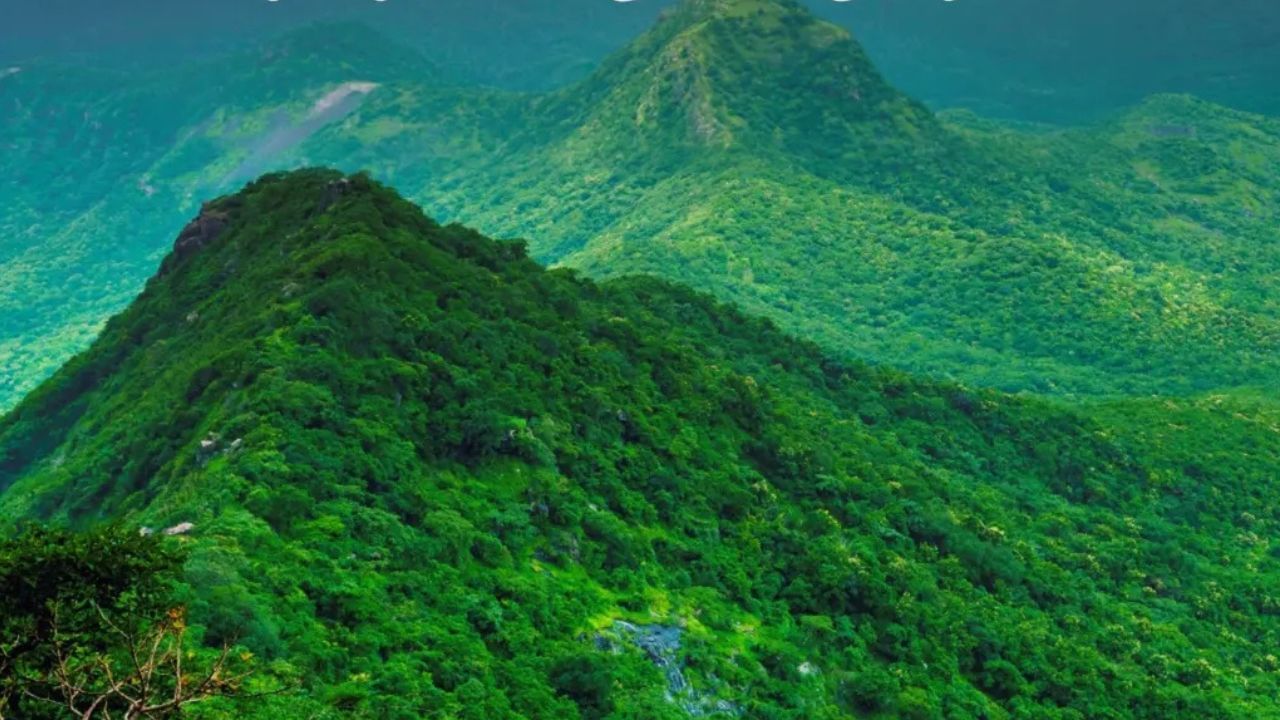 ગિરનાર પાસે એશિયાનો સૌથી લાંબો રોપવે છે, જે યાત્રાળુઓને અંબાજી મંદિર સુધી લઈ જાય છે.ગિરનારની મુલાકાત લેવાનો શ્રેષ્ઠ સમય નવેમ્બરથી ફેબ્રુઆરી વચ્ચેનો છે.