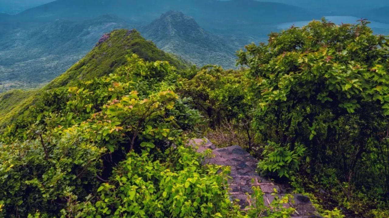 ગિરનાર કેવી રીતે પહોંચવું તો જો તમે બાય રોડ દ્વારા જવા માંગો છો તો ગુજરાતના દરેક શહેરોથી જૂનાગઢ માટે બસો તમને મળી જશે.ટ્રેન દ્વારા જૂનાગઢ પહોંચવા માટે અમદાવાદ-વેરાવળ રેલવે લાઇન પર એક્સપ્રેસ ટ્રેનો દોડે છે. જે તમને વહેલી સવારે જૂનાગઢ પહોંચાડે છે. જો તમે ફ્લાઈટ દ્વારા જૂનાગઢ જવાનો પ્લાન બનાવી રહ્યા છો, તો  જૂનાગઢનું સૌથી નજીકનું એરપોર્ટ રાજકોટ છે, જે 103 કિમી દૂર છે. (all photo : gujarat tourisam)  