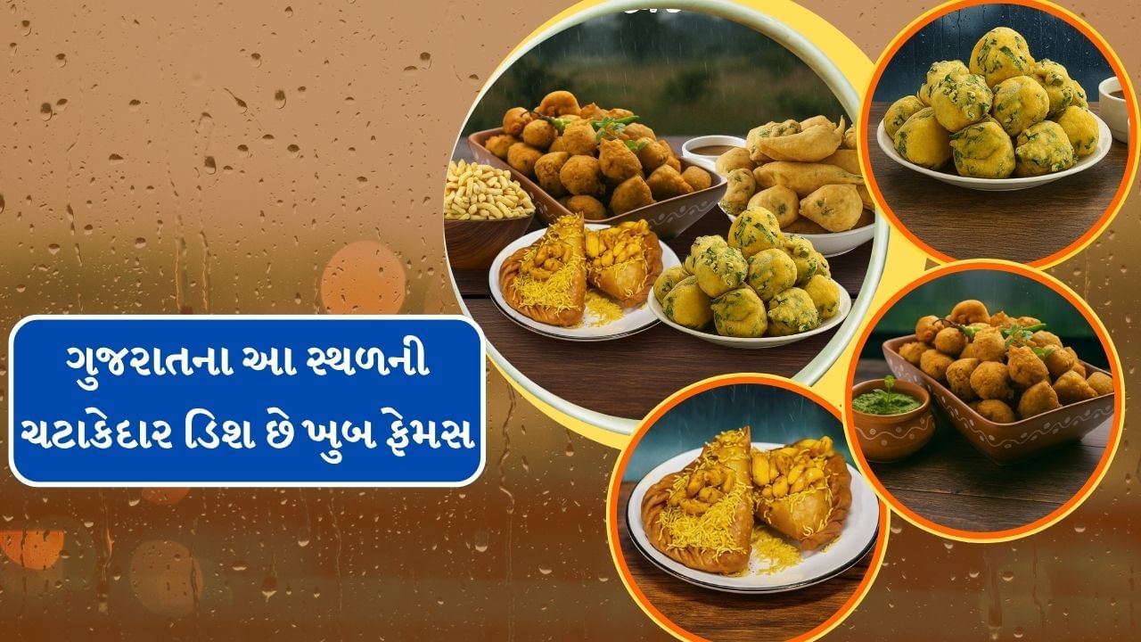 ચોમાસામાં ધુમ્મસવાળા રસ્તાઓ અને જંગલની ટ્રિપ કરવાની કાંઈ અલગ જ મજા હોય છે. પછી અમદાવાદનું પોલો ફોરેસ્ટ હોય, સુરતનું સાપુતારા હોય કે વડોદરાનું જાંબુઘોડા હોય, અને જૂનાગઢનું ગીરનાર પર્વત હોય, પ્રવાસી આ સ્થળોની એક વખત જરુર મુલાકાત લે છે.સાથે કેટલાક એવા સ્થળો છે. જ્યાંનુ ફુડ ખુબ જ ફેમસ છે.