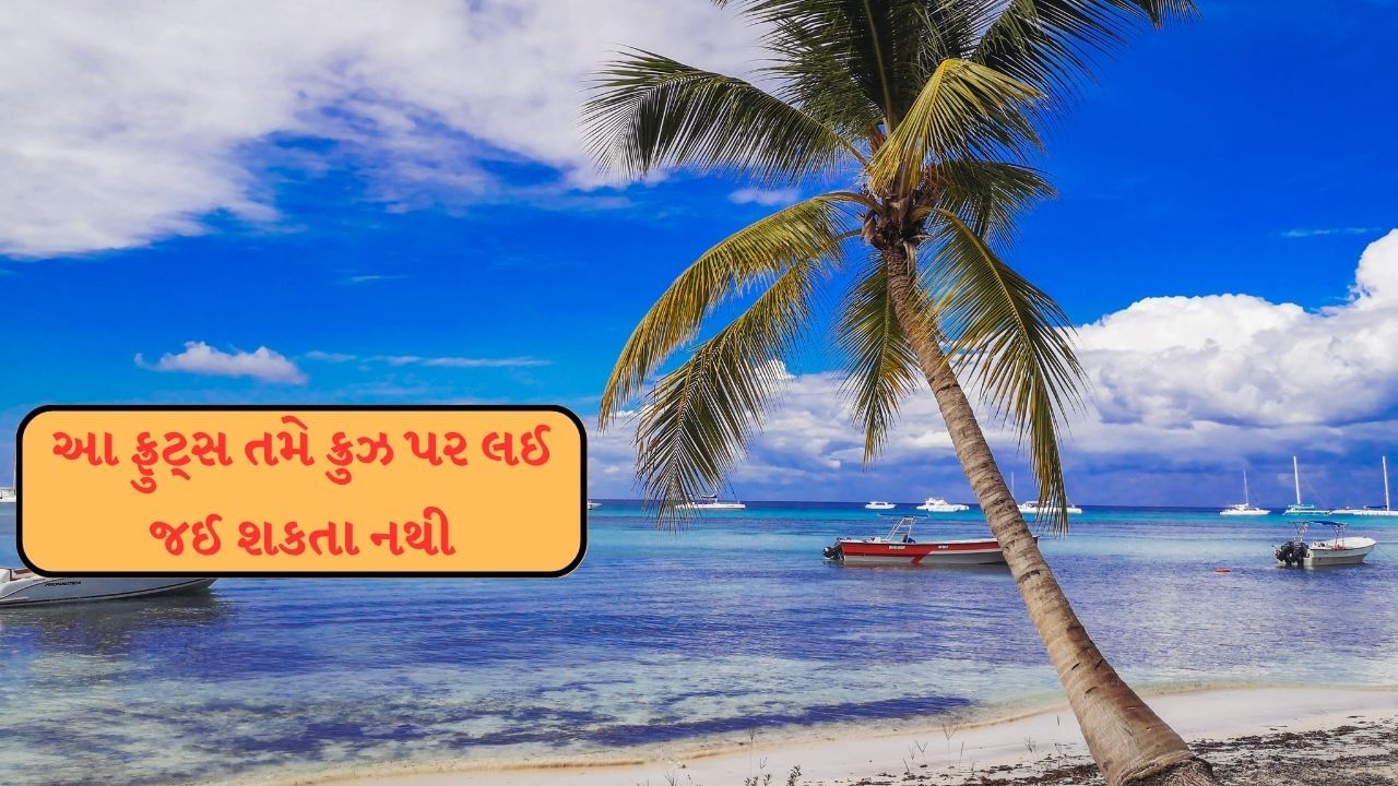 ખુલ્લા ફળો અને શાકભાજી ઝડપથી બગડી શકે છે, જેનાથી રોગ ફેલાવાનું જોખમ રહેલું છે. ક્રુઝ લાઇન્સ સામાન્ય રીતે તેમના મહેમાનો માટે પહેલાથી પેક કરેલા અને સુરક્ષિત રીતે સીલબંધ ખોરાક ઓફર કરે છે.