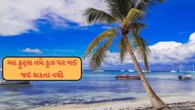 આ ફ્રુટ્સ તમે ક્રુઝ પર લઈ જઈ શકતા નથી આ ફ્રુટ્સ તમે ક્રુઝ પર લઈ જઈ શકતા નથી