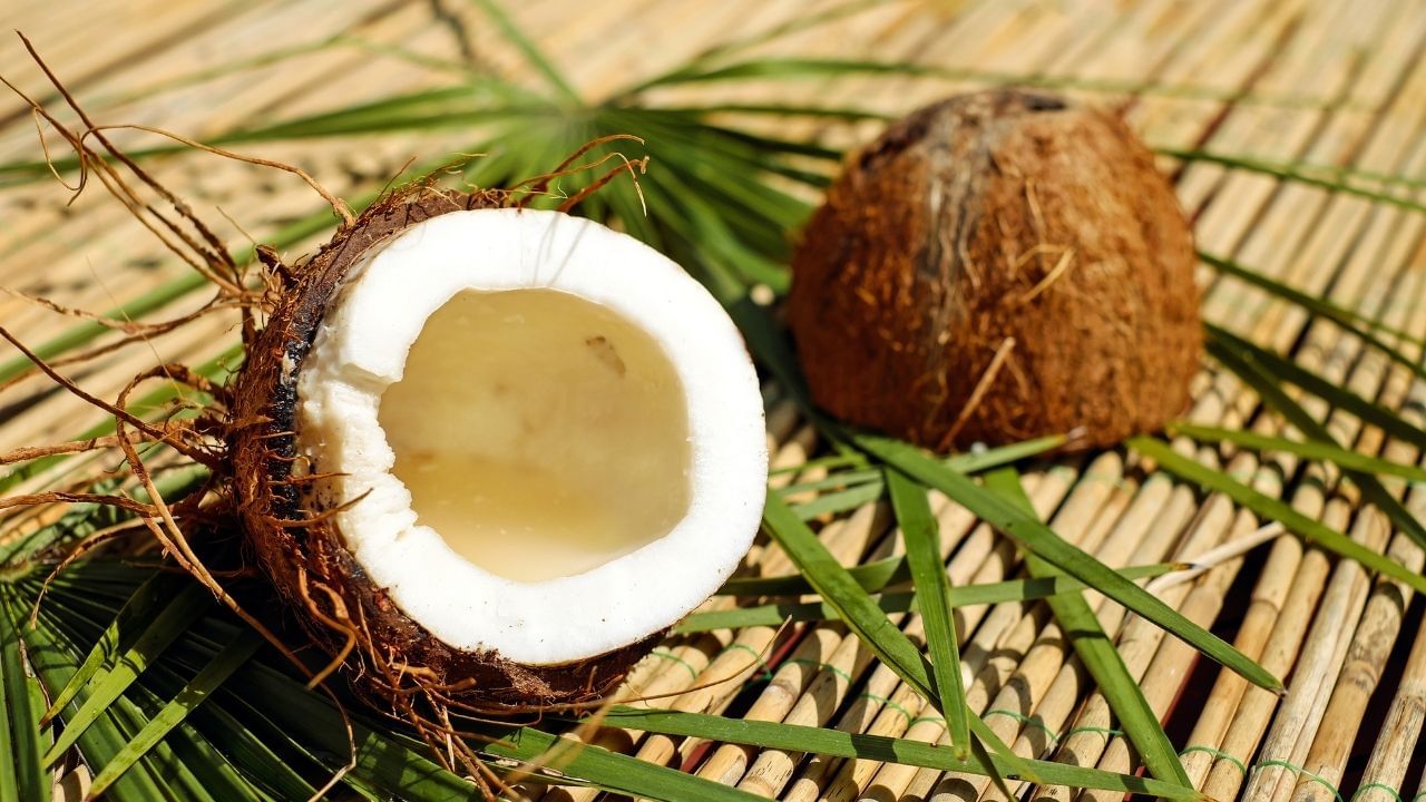 નારિયેળ એક એવું ફળ છે જે તમે ક્રુઝ સિવાય ફ્લાઇટમાં તમારી સાથે લઈ જઈ શકતા નથી. ધ ઇન્ડિપેન્ડન્ટ અનુસાર, ઇન્ટરનેશનલ એર ટ્રાન્સપોર્ટ એસોસિએશનના ડેન્જરસ ગુડ્સ રજિસ્ટર (IATA) કાર્ગોમાં નારિયેળના પલ્પને વર્ગ 4 જોખમ તરીકે વર્ગીકૃત કરે છે. સૂકા નારિયેળને જ્વલનશીલ પદાર્થ તરીકે ચિહ્નિત કરવામાં આવે છે. 