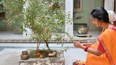 ધાર્મિક માન્યતાઓ અનુસાર, દેવી લક્ષ્મી તુલસીમાં વાસ કરે છે. જે ઘરમાં તુલસીનો છોડ હોય છે અને તેની નિયમિત પૂજા કરવામાં આવે છે, ત્યાં દેવી લક્ષ્મી ખુશીથી વાસ કરે છે, જે ઘરમાં ધન અને સમૃદ્ધિ લાવે છે.