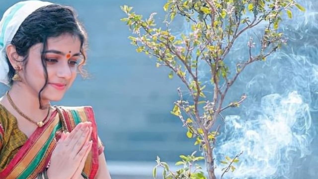 જ્યોતિષ શાસ્ત્ર અનુસાર, તુલસીનો સંબંધ ઘણા ગ્રહો સાથે છે. તુલસીની પૂજા અને સેવા કરવાથી કુંડળીમાં રહેલા કેટલાક અશુભ ગ્રહ દોષો દૂર થાય છે, જે વ્યક્તિના જીવનમાં નાણાકીય સમસ્યાઓ દૂર કરે છે.