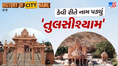 "તુલસીશ્યામ" નામ બે શબ્દો પરથી બનેલું છે, તુલસી અને શ્યામ, હિંદુ ધર્મમાં તુલસીના છોડને અત્યંત પવિત્ર માનવામાં આવે છે. તે ભગવાન વિષ્ણુની પ્રિય છે અને દરેક પૂજામાં તેનો ઉપયોગ થાય છેઅહીં "શ્યામ" શબ્દનો અર્થ ભગવાન કૃષ્ણ (શ્યામવર્ણી) થાય છે. આ સ્થાન ભગવાન વિષ્ણુના અવતાર તરીકે શ્રીકૃષ્ણ સાથે સંકળાયેલું છે. એટલે "તુલસીશ્યામ" એ સ્થાન છે જ્યાં તુલસી અને શ્યામ, અર્થાત્ ભક્તિ અને ભગવાન  બંનેનું અલૌકિક મિલન થાય છે.