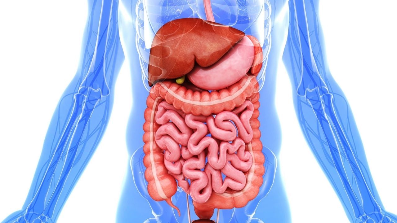 Understanding Flatulence Your Gut's Secret Messages (3)