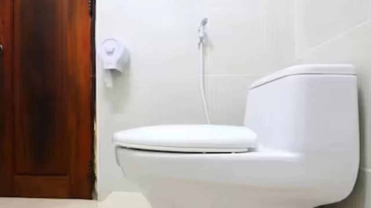 ટોયલેટની સીટની દિશા પણ મહત્વપૂર્ણ છે: વાસ્તુ નિષ્ણાતોના મતે, ટોયલેટની સીટ એવી હોવી જોઈએ કે બેસતી વખતે વ્યક્તિનો ચહેરો ઉત્તર કે દક્ષિણ દિશા તરફ હોય. આનાથી સ્વાસ્થ્ય અને નાણાકીય બંને દ્રષ્ટિકોણથી લાભ મળે છે.