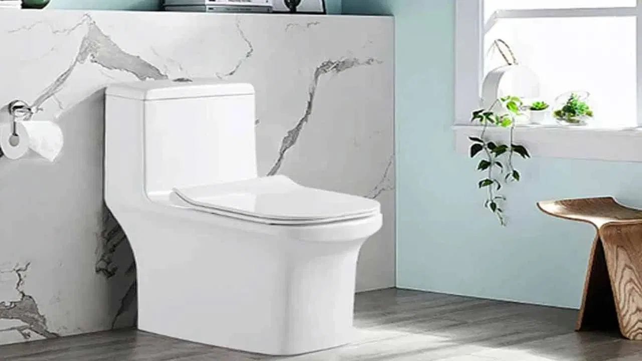 નજીકમાં મની પ્લાન્ટ અથવા લીંબુનો છોડ વાવો: જો શક્ય હોય તો ટોયલેટની બહાર અથવા નજીકની બારી પર મની પ્લાન્ટ અથવા લીંબુનો છોડ રાખો. આ છોડ નકારાત્મક ઉર્જા શોષી લે છે અને સકારાત્મકતા જાળવી રાખે છે, જે સંપત્તિ વધારવામાં મદદ કરે છે.