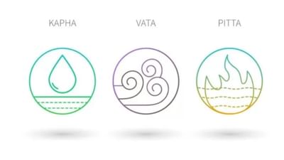 કફ, પિત્ત અને વાત સાથે તમારું સ્વાસ્થ્ય કેવી રીતે સંબંધિત છે, જાણો તમારા બોડી ટાઈપ વિશે