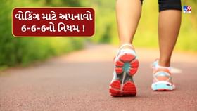 6-6-6 ચાલવાના નિયમ વડે સરળતાથી પૂર્ણ કરી શકશો 10,000 સ્ટેપ 6-6-6 ચાલવાના નિયમ વડે સરળતાથી પૂર્ણ કરી શકશો 10,000 સ્ટેપ