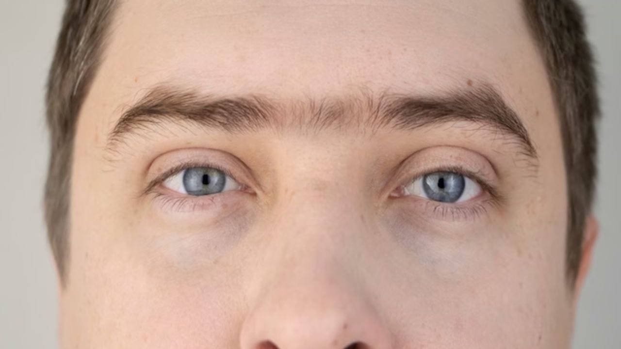 જોડાયેલી આઈબ્રો: સામુદ્રિક શાસ્ત્ર અનુસાર આવા લોકોની ગણતરી ખૂબ જ બુદ્ધિશાળી વ્યક્તિઓમાં થાય છે. જે લોકોની ભમર એકબીજા સાથે જોડાયેલી હોય છે તેઓ બહુવિધ કાર્યો કરનારા હોય છે અને ખૂબ મહત્વાકાંક્ષી પણ હોય છે. પૈસા તેમની પાસે આવે છે અને જાય છે પરંતુ ક્યારેય અછતની સ્થિતિ હોતી નથી. આવા લોકોના બધા સાથે સારા સંબંધો હોય છે.