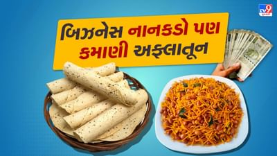 જો તમને રસોઈનો શોખ છે અને થોડા રોકાણમાં ઘરેથી કમાણી કરવી હોય, તો પાપડ અને નમકીનનો બિઝનેસ તમારા માટે એક સારો વિકલ્પ બની શકે છે. આ બિઝનેસ ખાસ કરીને મહિલાઓ માટે અનુકૂળ છે, જે ઘરના કામ સાથે એક મજબૂત આવક પણ ઊભી કરવા માંગે છે.