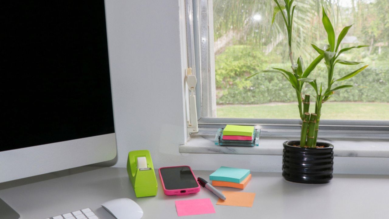 એવું માનવામાં આવે છે કે જો વાસ્તુશાસ્ત્રના માર્ગદર્શક સિદ્ધાંતો અનુસાર ઘરમાં વાંસનો છોડ મૂકવામાં આવે, તો આર્થિક સ્થિતિમાં સુધારો થાય છે અને બિનજરૂરી ખર્ચમાંથી પણ મુક્તિ મળે છે. આ છોડ  તેના શુભ પ્રભાવ માટે જાણીતો છે, જે પરિવારના ભાગ્યમાં નવા માર્ગો ખોલી શકે છે. ( નોંધ: અહી આપવામાં આવેલી જાણકારી ધાર્મિક આસ્થા ઓ અને લોક માન્યતાઓ આધારિત છે, જેનો કોઈ વૈજ્ઞાનિક આધાર નથી. સામાન્ય જનરૂચિને ધ્યાનમાં રાખીને આ લેખને અહી પ્રસ્તુત કરવામાં આવ્યો છે.) ( Credits: Getty Images )