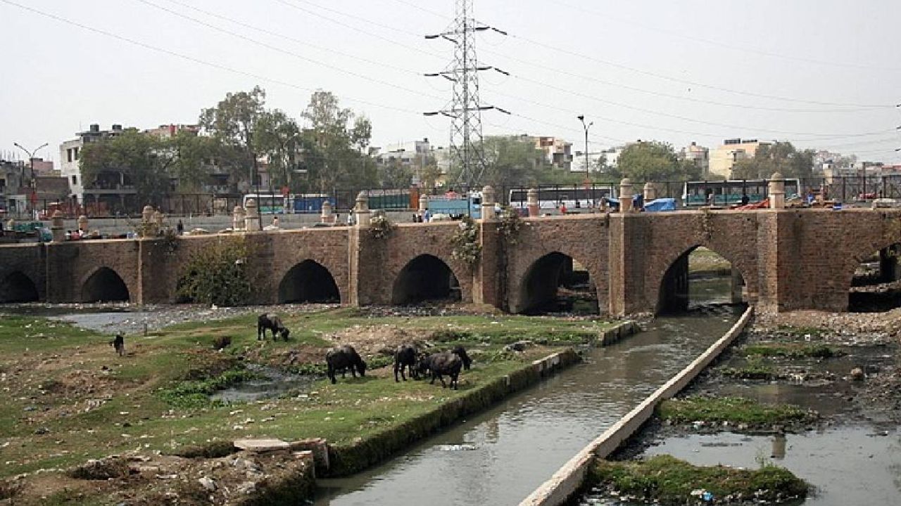 દિલ્હીમાં, મુઘલ યુગનો એક પુલ હજુ પણ કાર્યરત છે. નિઝામુદ્દીન વિસ્તારમાં બનેલો આ પુલ બારાપુલા બ્રિજ તરીકે ઓળખાય છે, કારણ કે તે 12 થાંભલાઓ પર ટકે છે. તે 1628માં મુઘલ સમયગાળા દરમિયાન મિનાર બાનુ આગા દ્વારા બનાવવામાં આવ્યો હતો, જ્યારે જહાંગીરે દિલ્હી પર શાસન કર્યું હતું.