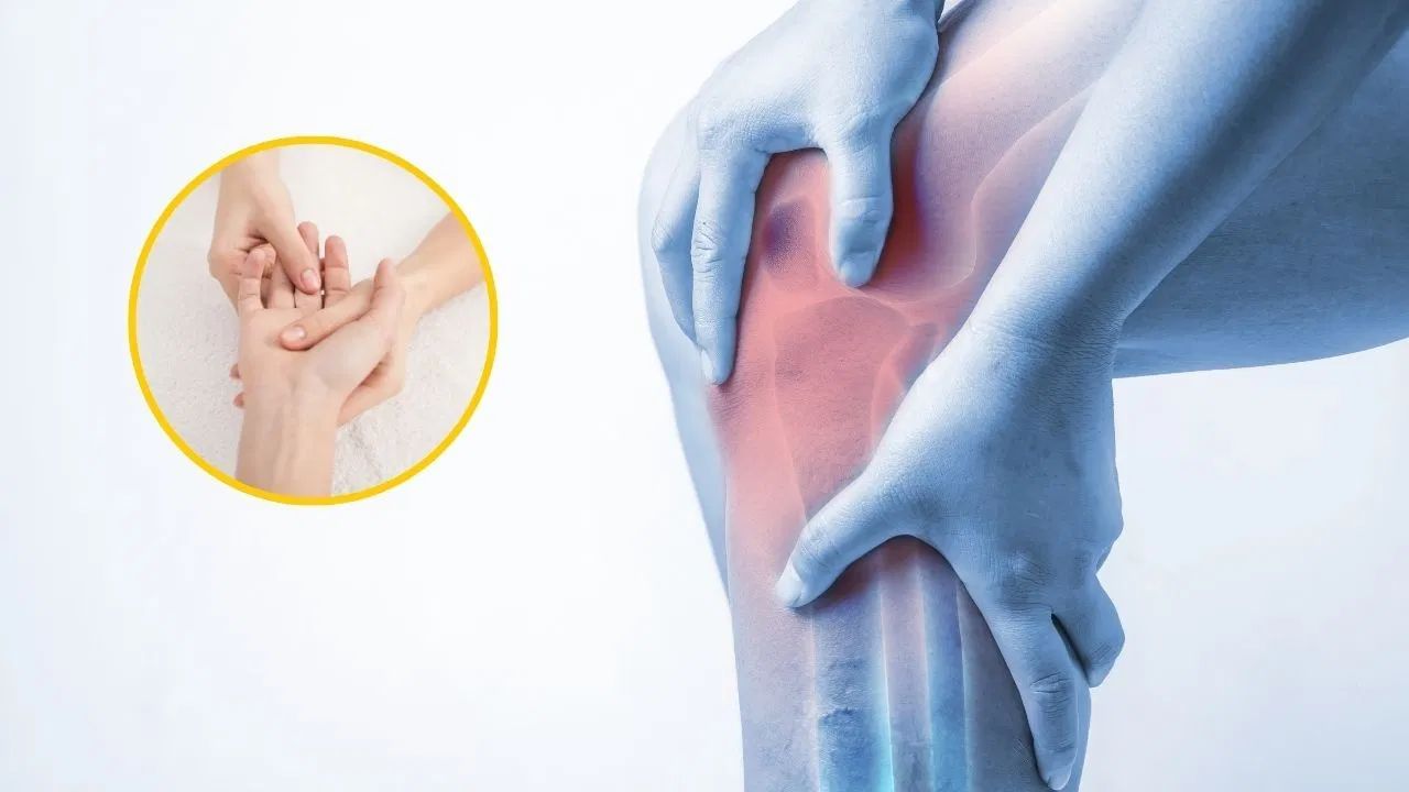 ઓર્થોપેડિક્સ ડૉ. અચિત ઉપ્પલ જણાવ્યું કે સતત હાડકામાં દુખાવો એ મોટી સમસ્યાનું લક્ષણ હોઈ શકે છે. જો સમયસર સારવાર ન લેવામાં આવે તો, હાડકાં ધીમે ધીમે નબળા પડી શકે છે અને ઓસ્ટિઓપેનિયા અથવા ઓસ્ટિઓપોરોસિસ જેવી સ્થિતિઓમાં પહોંચી શકે છે. આને કારણે, હાડકાં સરળતાથી તૂટી શકે છે, ખાસ કરીને કરોડરજ્જુ, હિપ અને ખભાના હાડકાં. સંધિવા પણ હાડકાના દુખાવાથી શરૂ થાય છે, જેમાં સાંધા કડક થઈ જાય છે અને ચાલવામાં મુશ્કેલી પડે છે. આ ઉપરાંત, જો હાડકાંમાં સોજો આવે છે, તો તે શરીરમાં કોઈપણ આંતરિક ચેપ અથવા ઓટોઇમ્યુન ડિસઓર્ડર જેવા કે રુમેટોઇડ સંધિવાની નિશાની હોઈ શકે છે. સતત થાક, ઊંઘનો અભાવ અને સ્નાયુઓની જડતા જેવા લક્ષણો પણ તેની સાથે જોઈ શકાય છે. તેથી, હાડકાના દુખાવાને હળવાશથી લેવું ખતરનાક બની શકે છે. હાડકા માટે આ 5 પરીક્ષણો કરાવો.