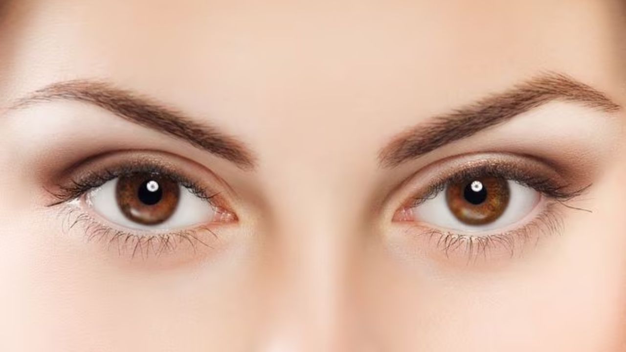 ભૂરી આંખોવાળા લોકો કેવા હોય છે?: સામુદ્રિક શાસ્ત્ર અનુસાર ભૂરી આંખોવાળા લોકો પોતાની શરતો પર જીવન જીવવાનું પસંદ કરે છે અને જીવનમાં સર્જનાત્મકતાને મહત્વ આપે છે. તેઓ આકર્ષક, ઉદાર, મિલનસાર હોય છે અને નવી વસ્તુઓ અજમાવવા માંગે છે. ભૂરી આંખોવાળા લોકો તેમના જીવનમાં પ્રેમને વધુ મહત્વ આપે છે અને તેમના જીવનસાથી પ્રત્યે પ્રામાણિક હોય છે.
