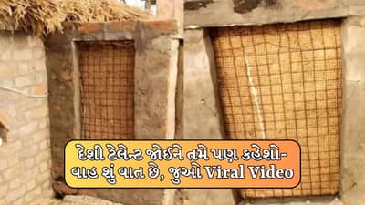 દેશી ટેલેન્ટ! માણસ માટે નહીં પણ ગાય-ભેંસ માટે બનાવ્યું કુલર, Viral Video જોઈને તમે પણ કહેશો- વાહ શું વાત છે