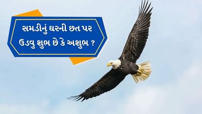 જ્યોતિષશાસ્ત્ર અને વાસ્તુશાસ્ત્ર માં ઘરની નજીક કોઈપણ પ્રાણી કે પક્ષીનું અચાનક આગમન કંઈક એવું સૂચવે છે, જેમાંથી ક્યારેક તે ખૂબ જ શુભ હોય છે. તે જ સમયે, કેટલીક પરિસ્થિતિઓમાં તે ખૂબ જ અશુભ હોઈ શકે છે.