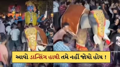 Viral Video: ગીત વાગતા જ નાચવા લાગ્યો હાથી ! સોશિયલ મીડિયામાં વીડિયો થયો વાયરલ