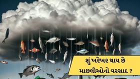 શું ખરેખર આકાશમાંથી માછલીઓનો વરસાદ થઈ શકે છે? જાણો સાયન્સ શું કહે છે શું ખરેખર આકાશમાંથી માછલીઓનો વરસાદ થઈ શકે છે? જાણો સાયન્સ શું કહે છે