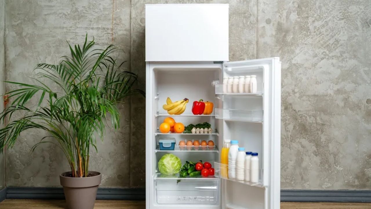 આ સાથે સેમસંગ જેવી મોટી કંપનીએ પણ તેની રેફ્રિજરેટર માર્ગદર્શિકામાં કહ્યું છે કે ફ્રિજની બાજુઓ અને પાછળ 50 મીમી (લગભગ 2 ઇંચ) અને ઉપરથી 100 મીમી (લગભગ 4 ઇંચ) ની જગ્યા હોવી જોઈએ. આ ફ્રિજનું પ્રદર્શન સુધારે છે અને વીજળીનો વપરાશ પણ ઘટાડે છે.