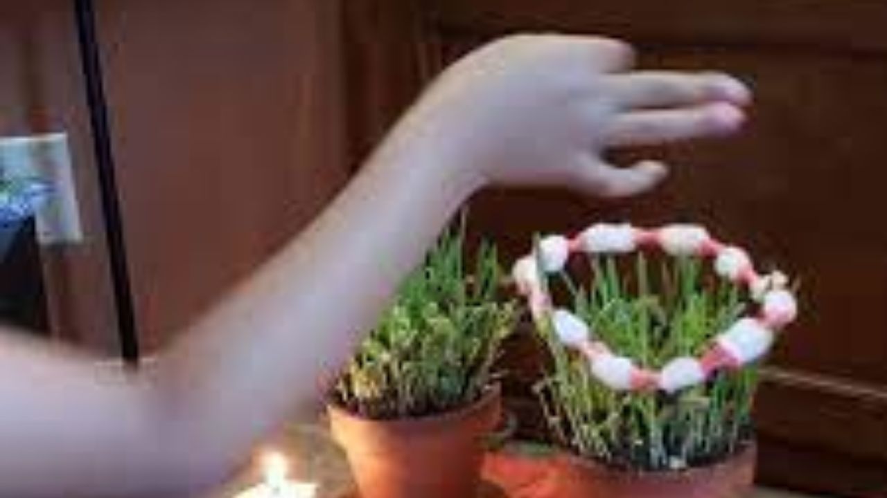 વૈજ્ઞાનિક કારણો: નવરાત્રી, ગૌરીવ્રત અને  જયા પાર્વતી વ્રત કે અન્ય ઉપવાસ દરમિયાન મીઠું ન ખાવા પાછળ ઘણા વૈજ્ઞાનિક કારણો છે. મીઠું, ખાસ કરીને સફેદ મીઠું, શરીરમાં પાણી જમા થઈ શકે છે, જેના કારણે સોજો આવે છે. ઉપવાસ દરમિયાન મીઠું રહિત ખોરાક ખાવાથી શરીરમાં વોટર રિટેન્શન ઓછી થાય છે. જેનાથી સોજો અને અન્ય સ્વાસ્થ્ય સમસ્યાઓ ઓછી થઈ શકે છે. આ ઉપરાંત મીઠા રહિત ખોરાક હળવો હોય છે. જેનાથી શરીરને હળવાશનો અનુભવ થાય છે અને પાચનમાં સુધારો થાય છે.
