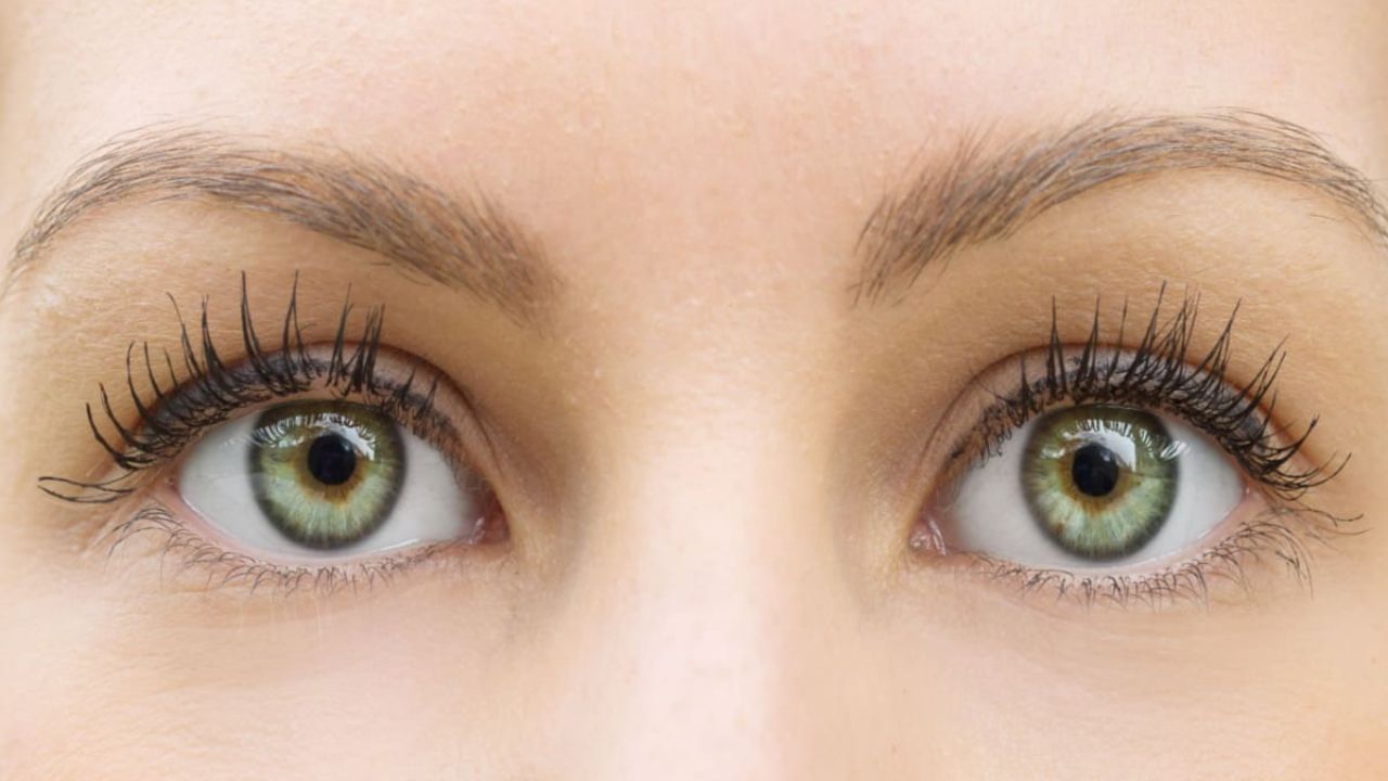 લીલી આંખોવાળા લોકો કેવા હોય છે?: લીલી આંખોવાળા લોકો ખૂબ જ એક્ટિવ દેખાય છે પરંતુ અંદરથી ખૂબ જ આળસુ હોય છે. આ લોકો દરેક કામ આવતીકાલ માટે મુલતવી રાખે છે. લીલી આંખોવાળા લોકોને પોતાની લાગણીઓ વ્યક્ત કરવામાં ઘણી મુશ્કેલી પડે છે. આ લોકો પોતાના સંબંધો અને વાતોને ગુપ્ત રાખવાનું પસંદ કરે છે.
