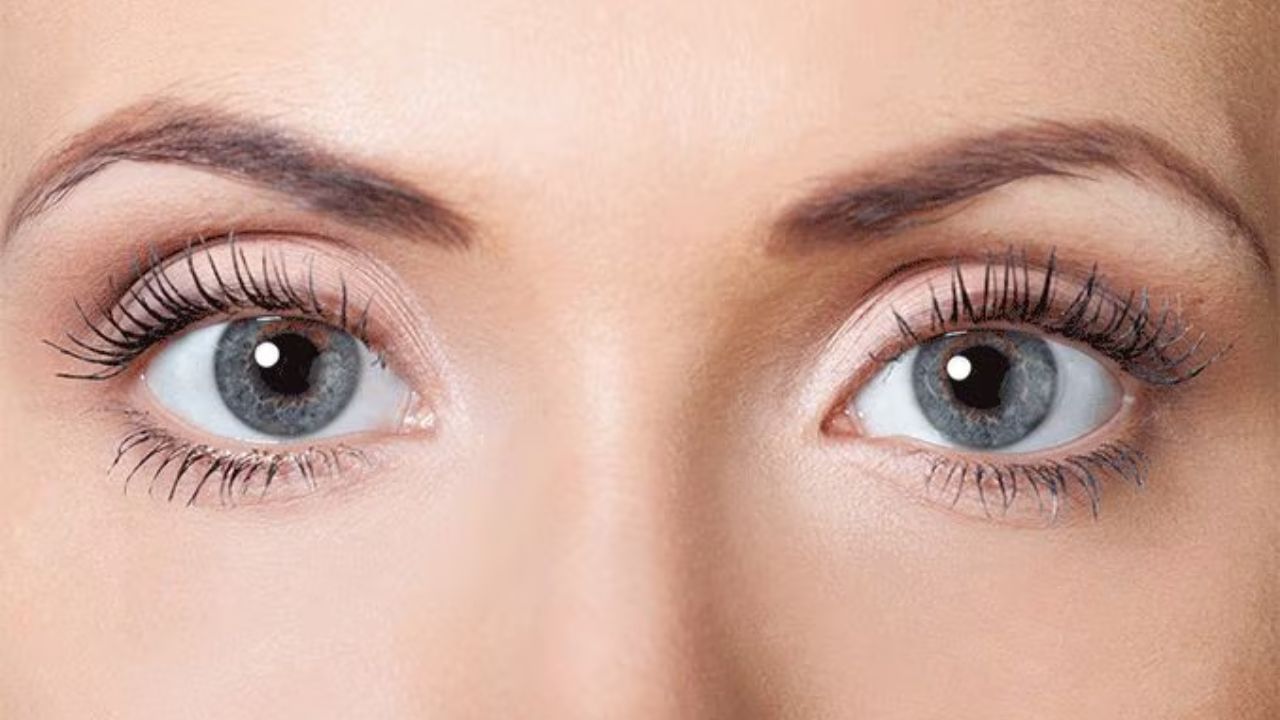 ગ્રે આંખોવાળા લોકો કેવા હોય છે?: ગ્રે આંખોવાળા લોકો ઉત્સાહથી જીવન જીવવાનું પસંદ કરે છે અને કોઈપણ પ્રકારનું બંધન પસંદ નથી કરતા. તેઓ નવી વસ્તુઓ અજમાવવાનું પસંદ કરે છે. આવા લોકો નવા લોકોને મળવાનું પસંદ કરે છે.
