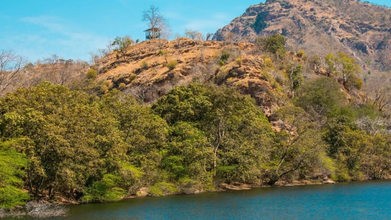 gujarat tourisam (3)