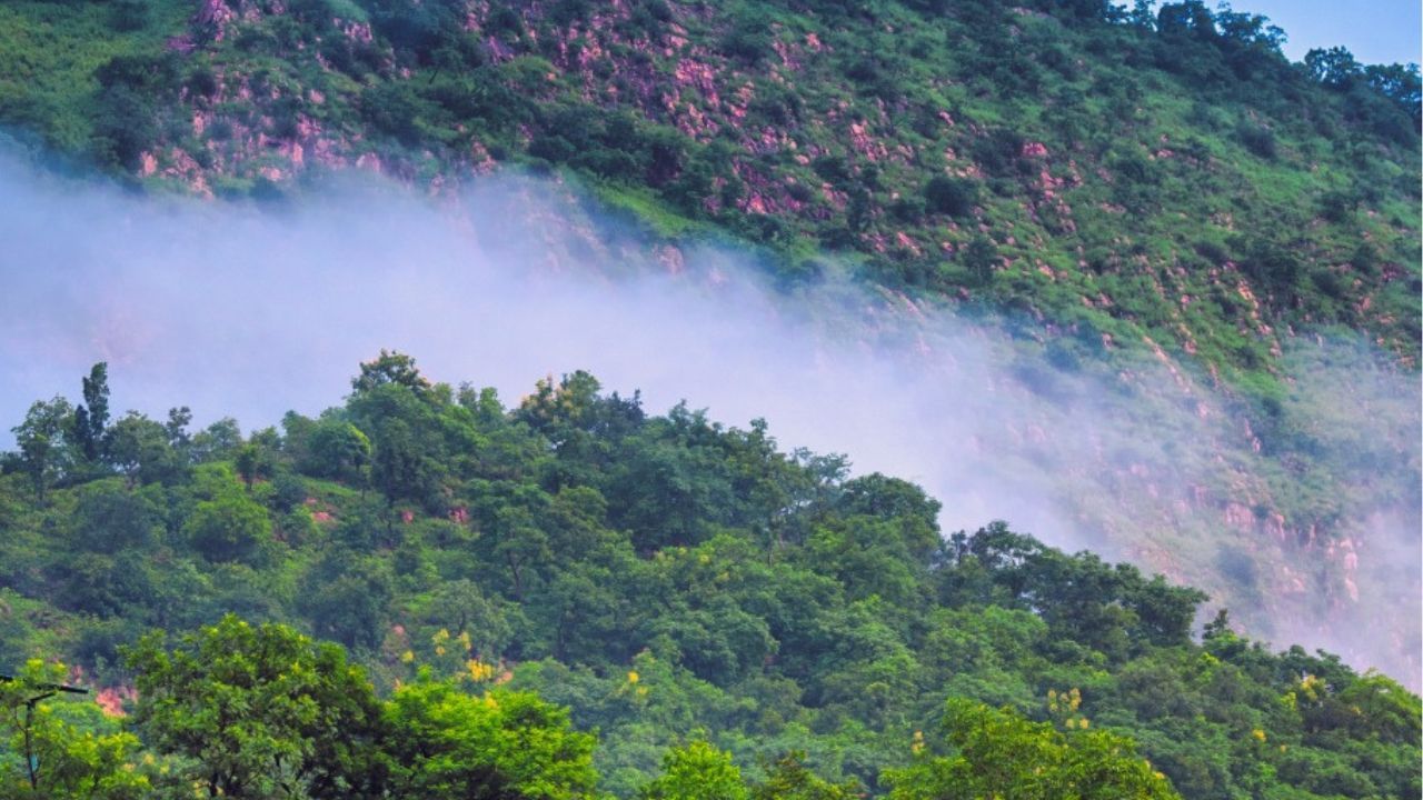 gujarat tourisam (6)