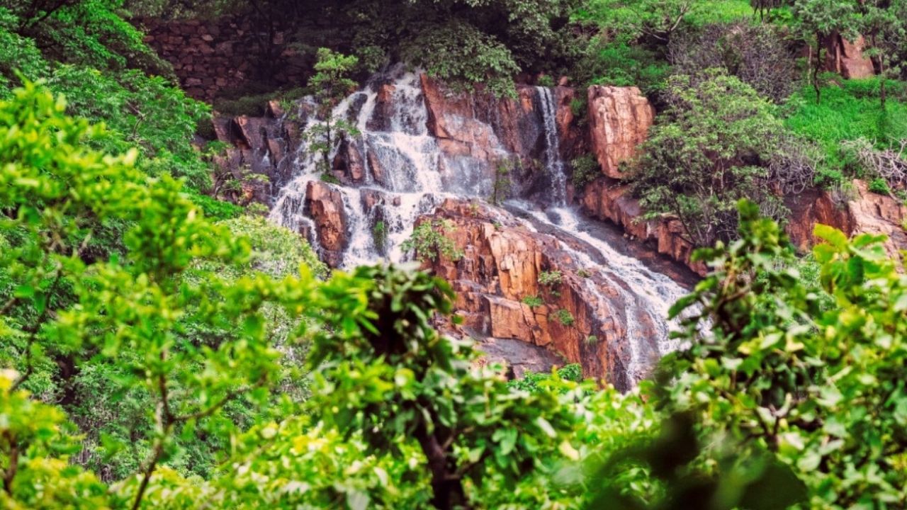 gujarat tourisam (7)