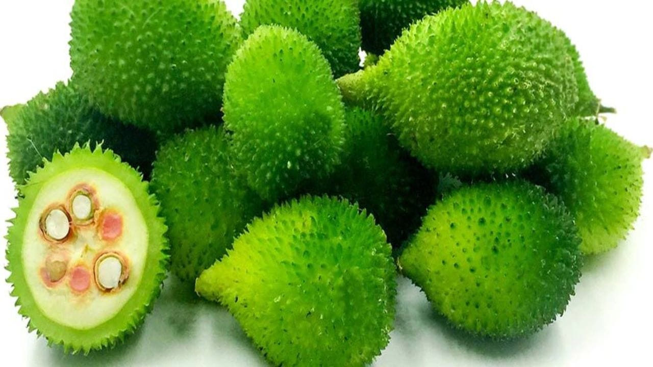 પાચનતંત્ર સુધારે છે - કંકોડામાં ફાઈબર ભરપૂર માત્રામાં હોય છે, જે પાચનક્રિયાને સુધારવામાં મદદ કરે છે. તે કબજિયાત જેવી સમસ્યાઓથી રાહત આપે છે અને આંતરડાના સ્વાસ્થ્યને જાળવી રાખે છે. ફાઈબર મળત્યાગને નિયમિત કરવામાં અને પેટને સ્વસ્થ રાખવામાં મદદરૂપ થાય છે.