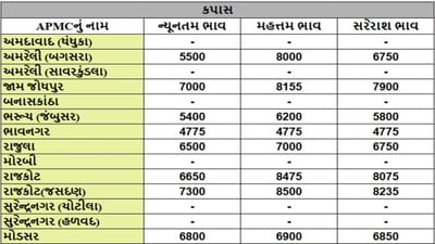 કપાસના તા.29-07-2025ના રોજ APMCના ભાવ રૂ.4775 થી 8500 રહ્યા.